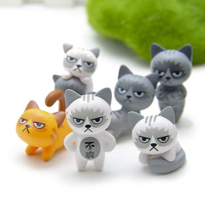 Super Cute Unhappy Cats Action