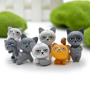 Super Cute Unhappy Cats Action