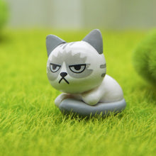 Load image into Gallery viewer, Super Cute Unhappy Cats Action