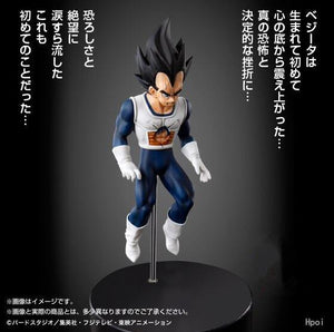Dragon Ball Z Vegeta Anime